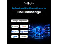 Détails : IBM DataStage Online Training | ETL & Data Integration Course